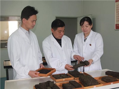 傳承茯茶非遺技藝、開拓創(chuàng)新引領(lǐng)行業(yè)發(fā)展