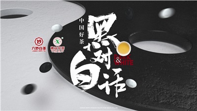 首屆黑白對話高峰論壇圓滿落幕！湘益茯茶備受關注！